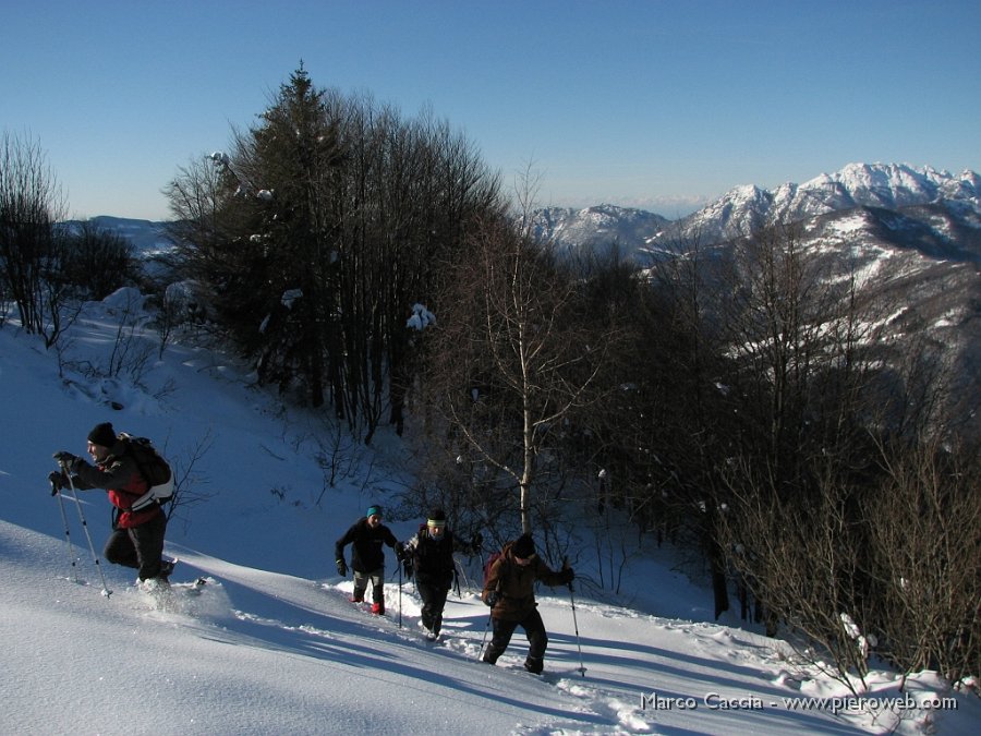 04_Sbucati dal bosco.JPG